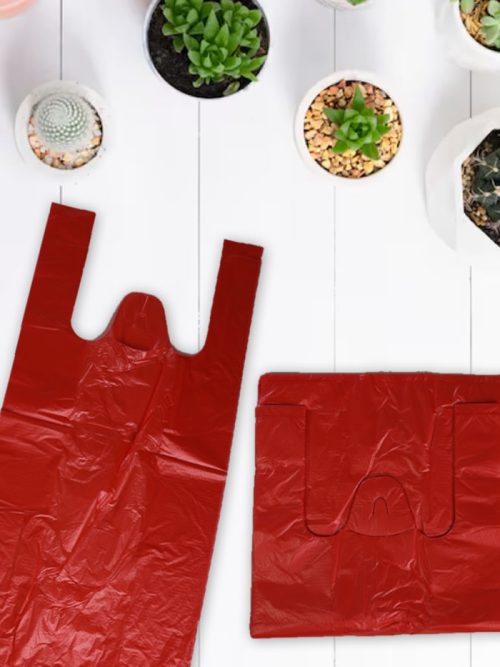 [Cap Lion] 12" x 16" Plastic Bag