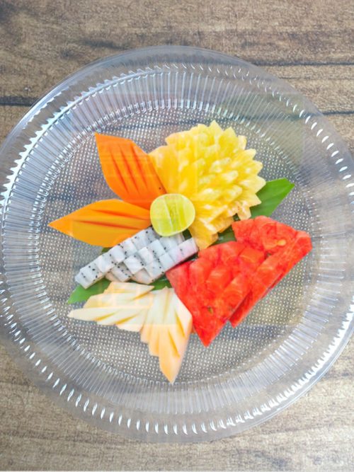 [Okid] R7 Plastic Plate (50PCS+/-)