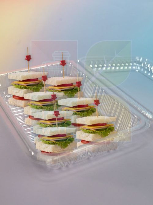GO-H3 Plastic Tray